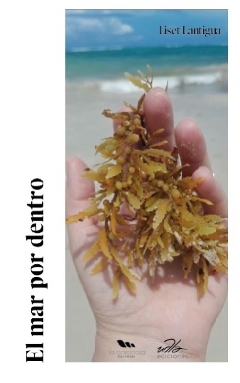El mar por dentro