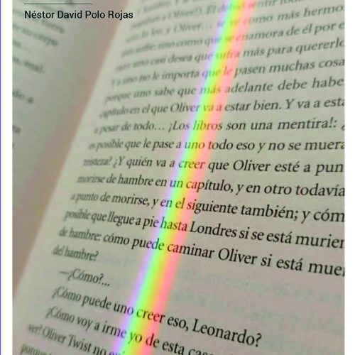 Sobre lecturas y otras maricadas. Experiencias, subjetividad y comunidades lectoras LGBTIA+ en Ecuador - Imagen 2
